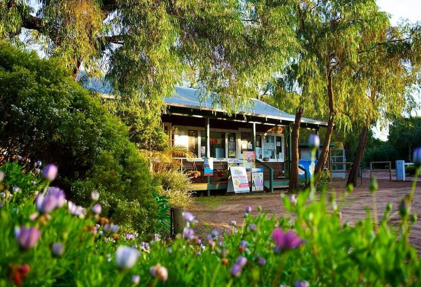 Курорт Gracetown Caravan Park