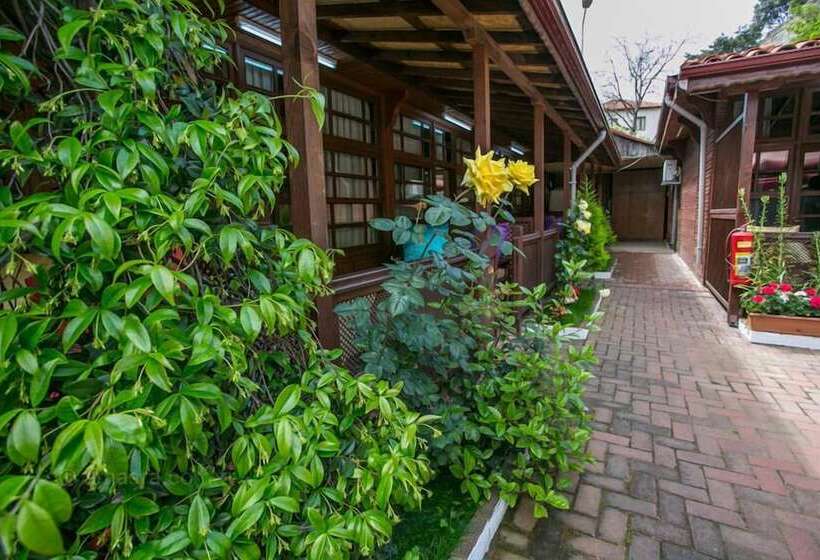 ホテル çarşı Pansiyon