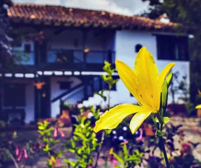 تختخواب و صبحانه Posada Bie