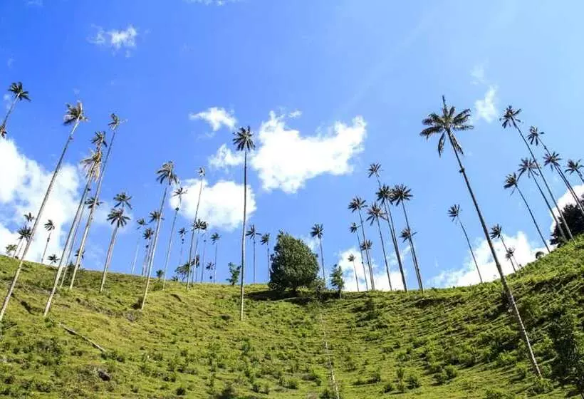 Eco Hotel Las Palmas De Cocora