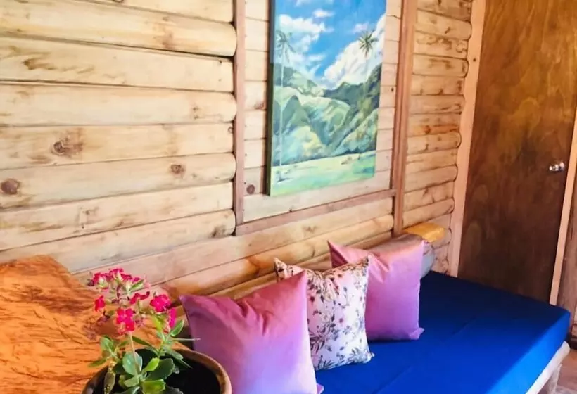 Eco Hotel Las Palmas De Cocora