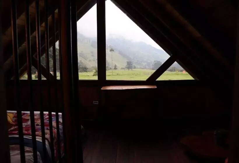 Eco Hotel Las Palmas De Cocora
