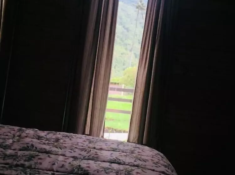 Eco Hotel Las Palmas De Cocora