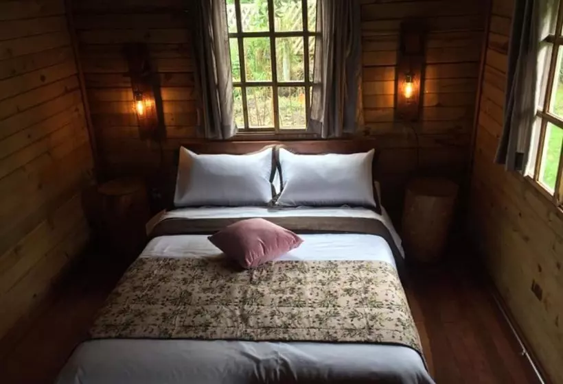 Eco Hotel Las Palmas De Cocora