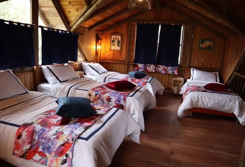 Eco Hotel Las Palmas De Cocora