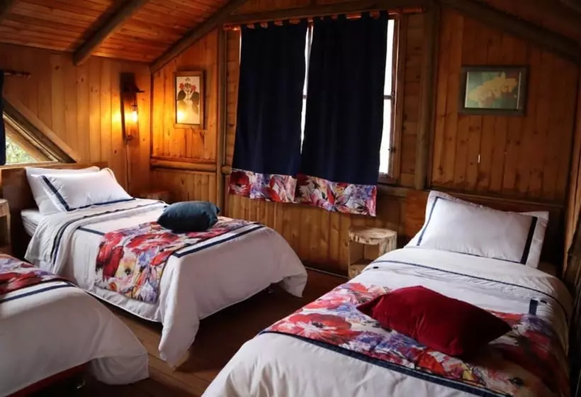Eco Hotel Las Palmas De Cocora