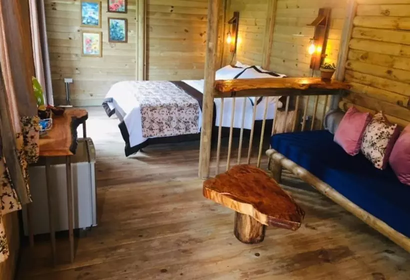 Eco Hotel Las Palmas De Cocora