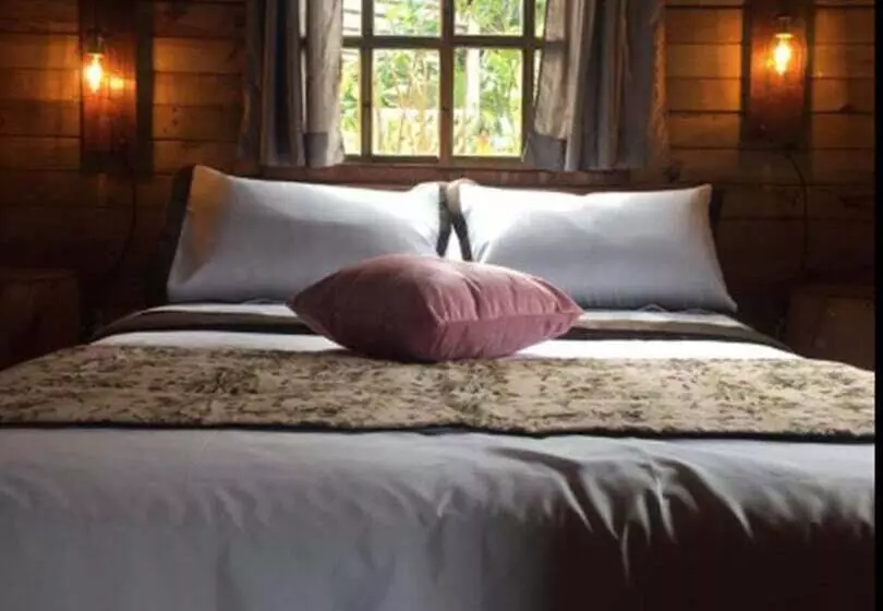 Eco Hotel Las Palmas De Cocora