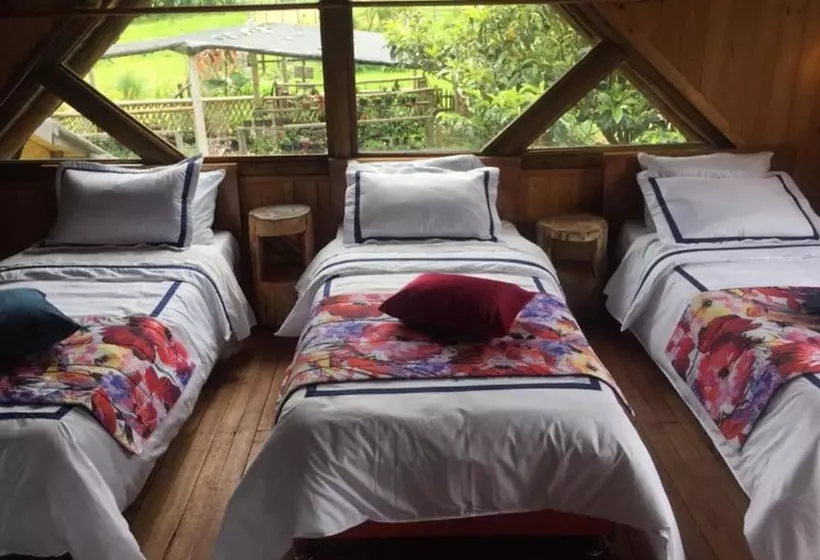 Eco Hotel Las Palmas De Cocora