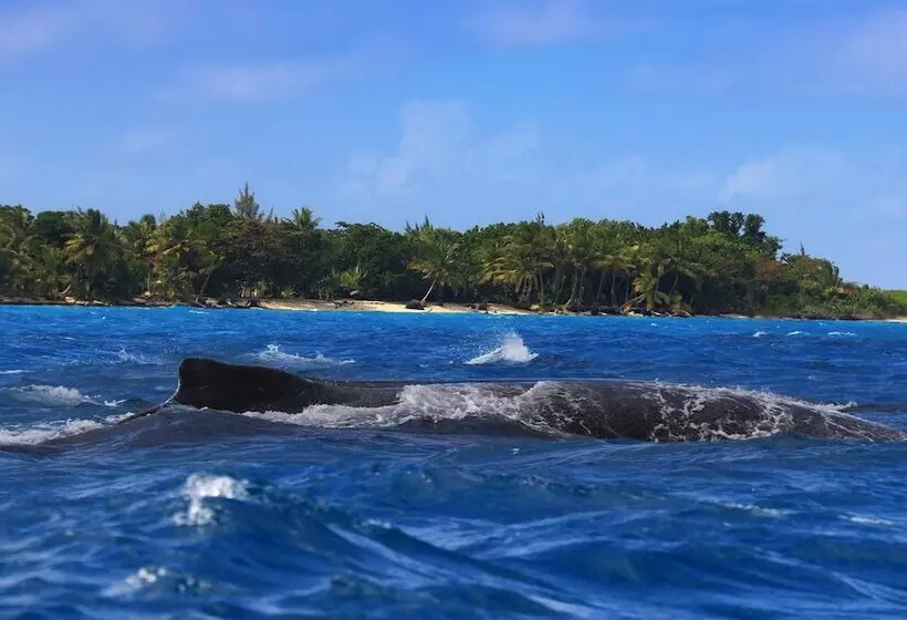 هتل Analatsara Eco Lodge