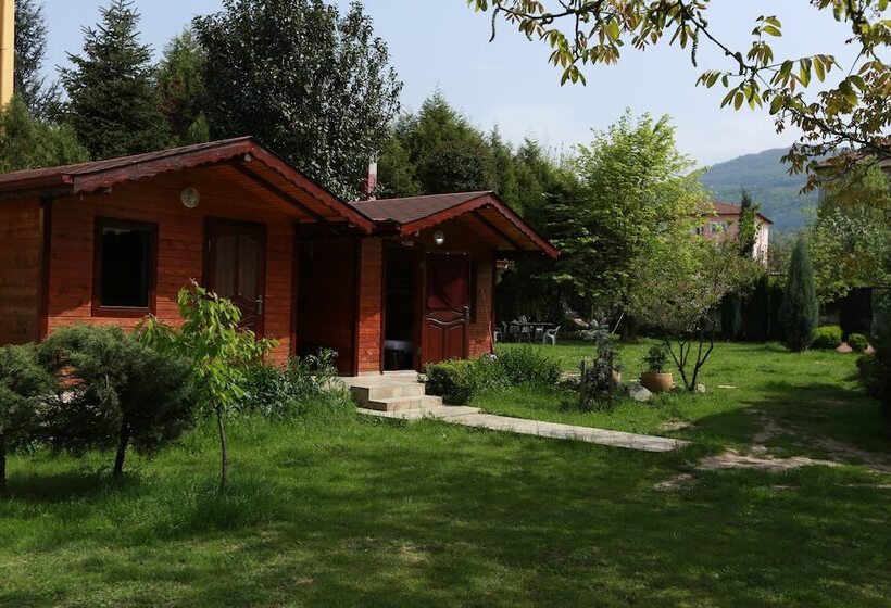 酒店 Best In Deniz 2