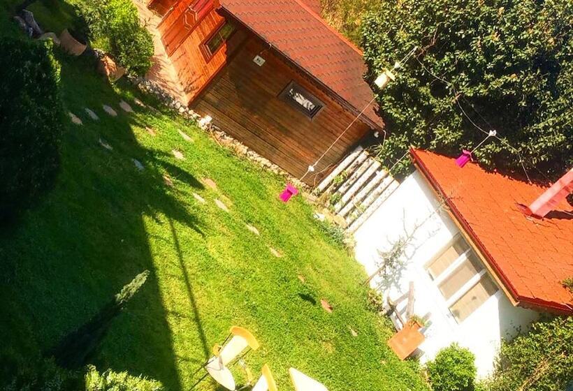 酒店 Best In Deniz 2