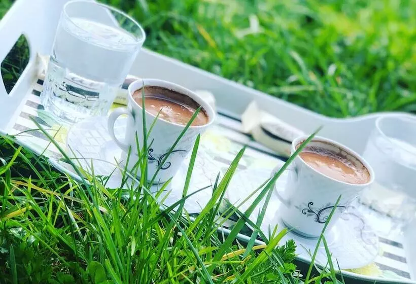 ホテル Best In Deniz 2