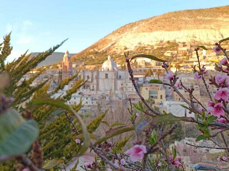 هتل Brisa Del Cielo