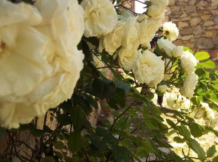 هتل Brisa Del Cielo