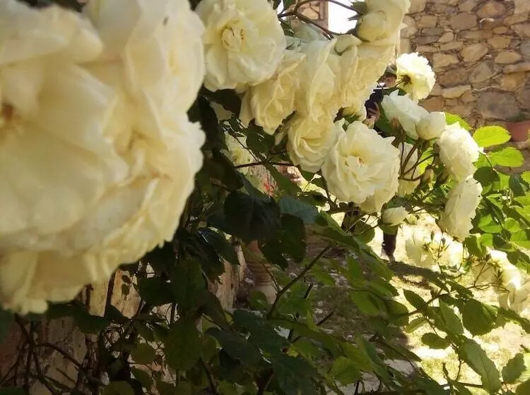 Hotelli Brisa Del Cielo