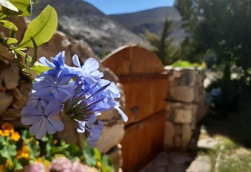 Hotelli Brisa Del Cielo