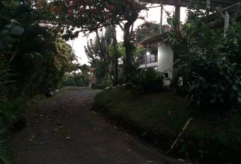 Hotelli Brisas Del Volcán Platanar