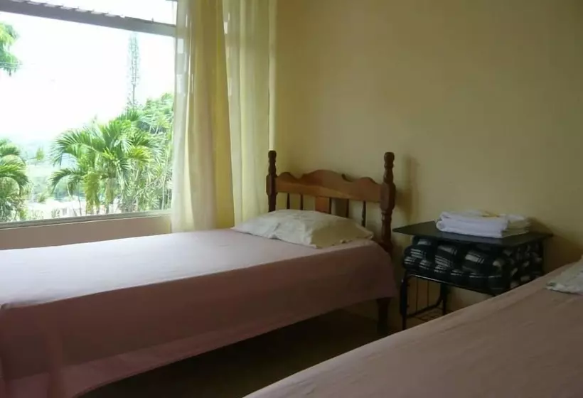 Hotelli Brisas Del Volcán Platanar