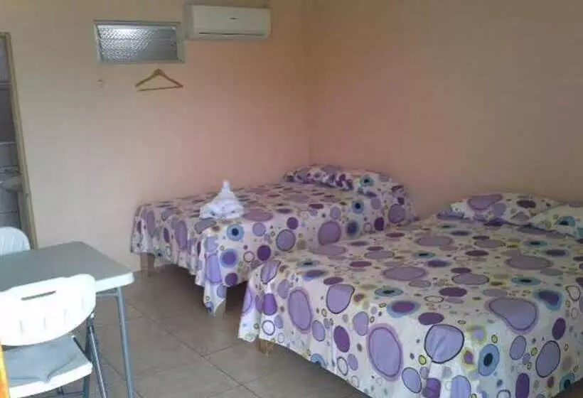 Hotelli Brisas Del Volcán Platanar