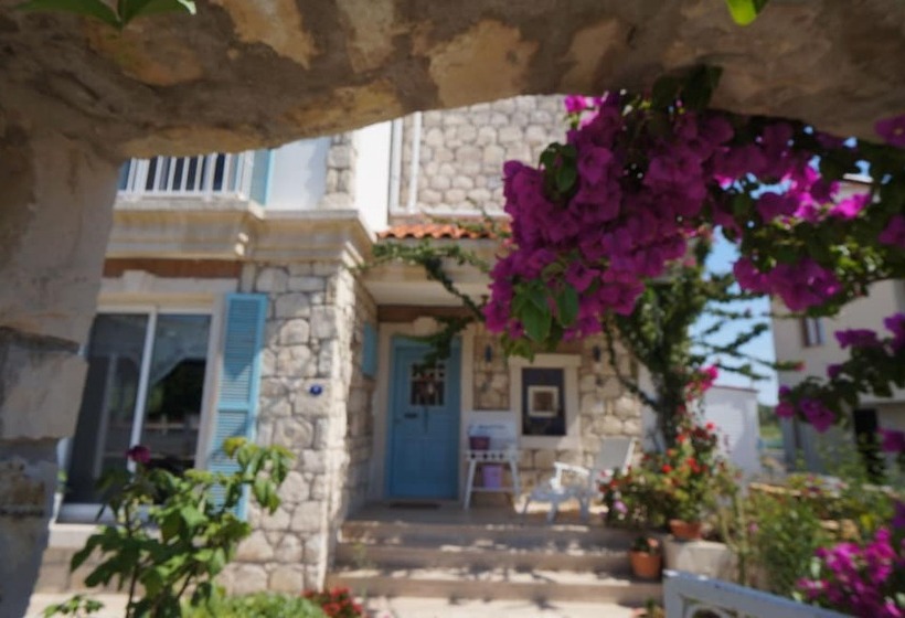 酒店 Dantel Konuk Evi