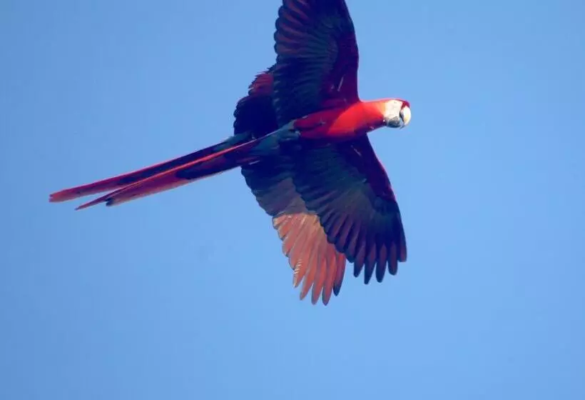 Hotelli Fidelito Ranch & Lodge