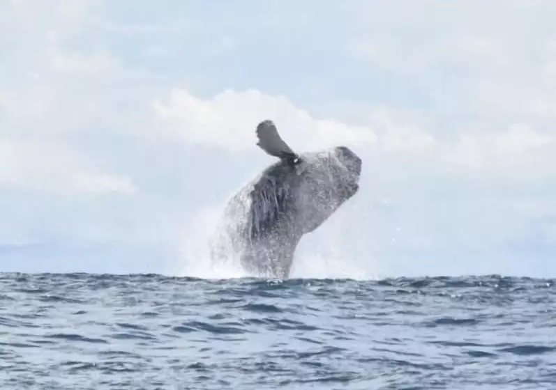 Hotelli Fidelito Ranch & Lodge