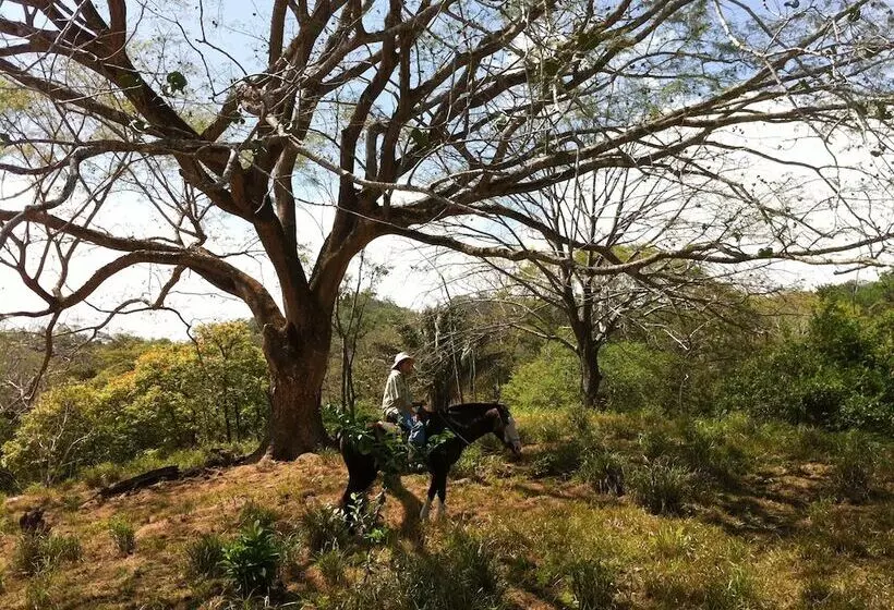 Hotelli Fidelito Ranch & Lodge