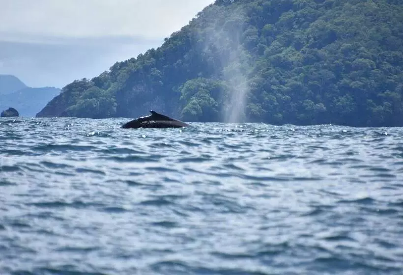 Hotelli Fidelito Ranch & Lodge