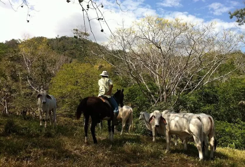Hotelli Fidelito Ranch & Lodge