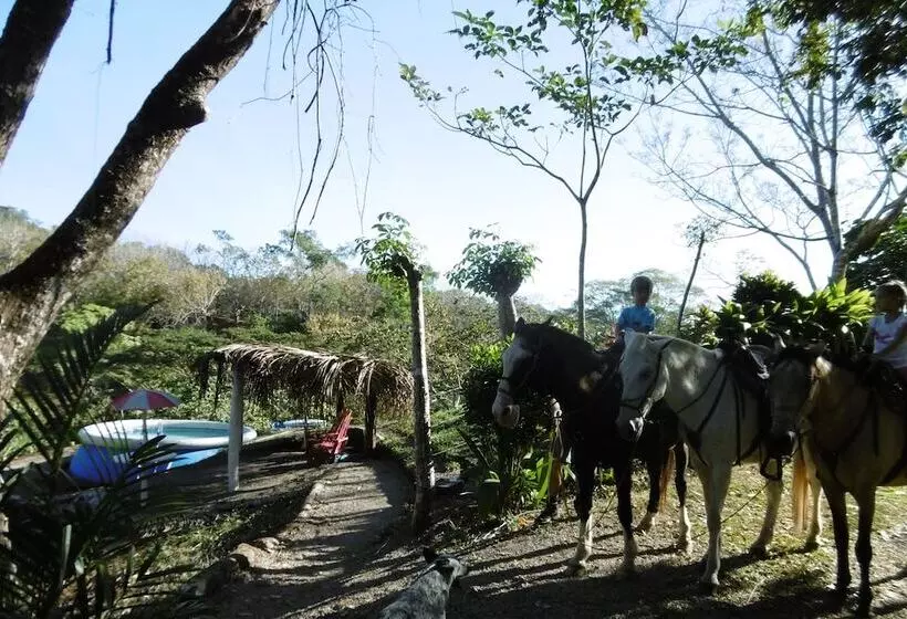 Hotelli Fidelito Ranch & Lodge