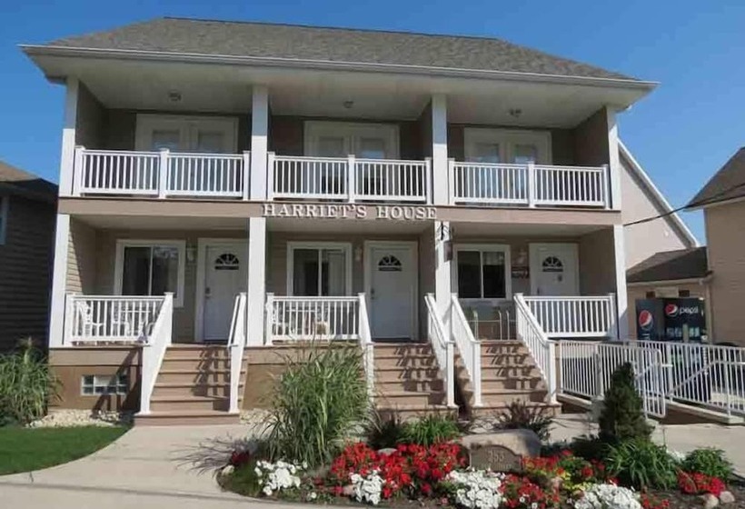 ホテル Harriet S House