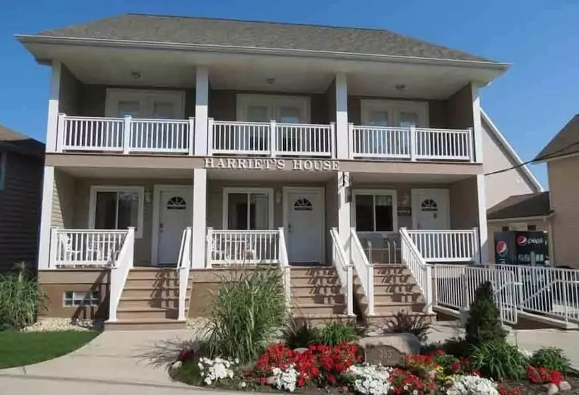 Hotelli Harriet S House