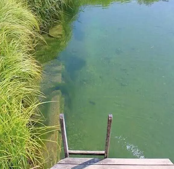 Hotelli Camping Dreiquellenbad