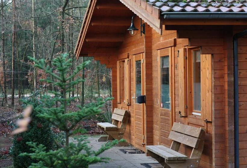 בית מלון כפרי Lodges Veluwse Poort