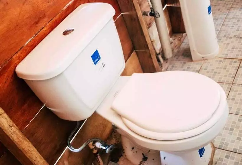 ホテル San Blas Lodge