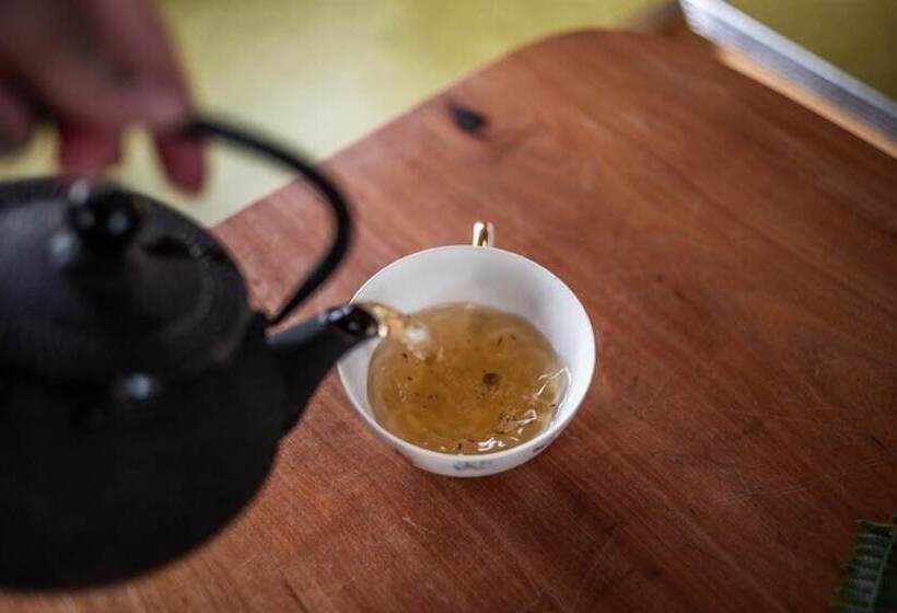 Отель Sou'wester Lodge & Vintage Trailers