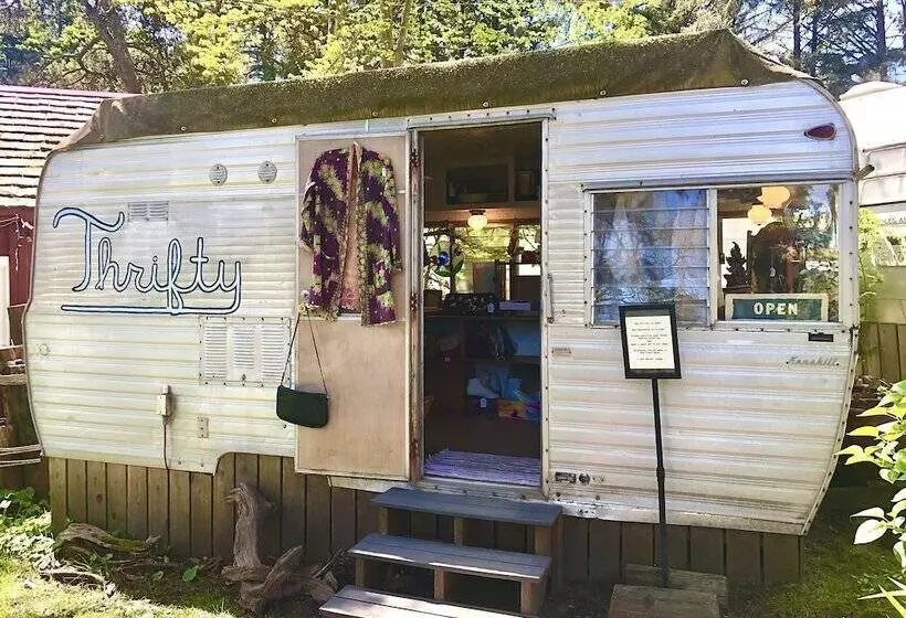 ホテル Sou'wester Lodge & Vintage Trailers