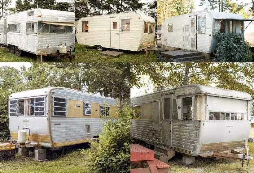 ホテル Sou'wester Lodge & Vintage Trailers