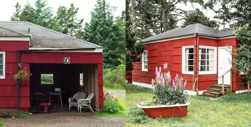 ホテル Sou'wester Lodge & Vintage Trailers
