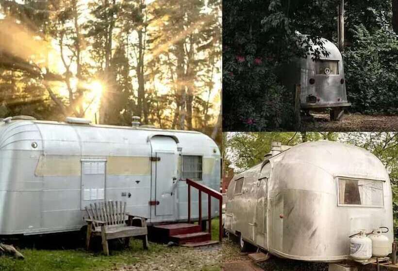 Отель Sou'wester Lodge & Vintage Trailers