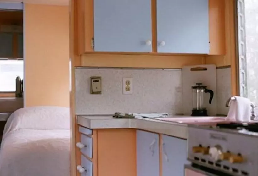 ホテル Sou'wester Lodge & Vintage Trailers