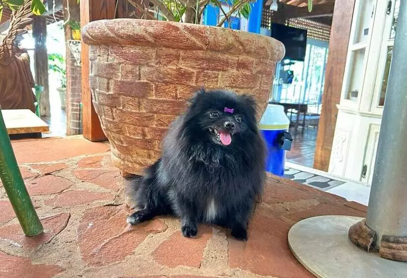 ホテル Villa Maria Pousada De Charme