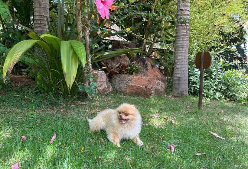 호텔 Villa Maria Pousada De Charme