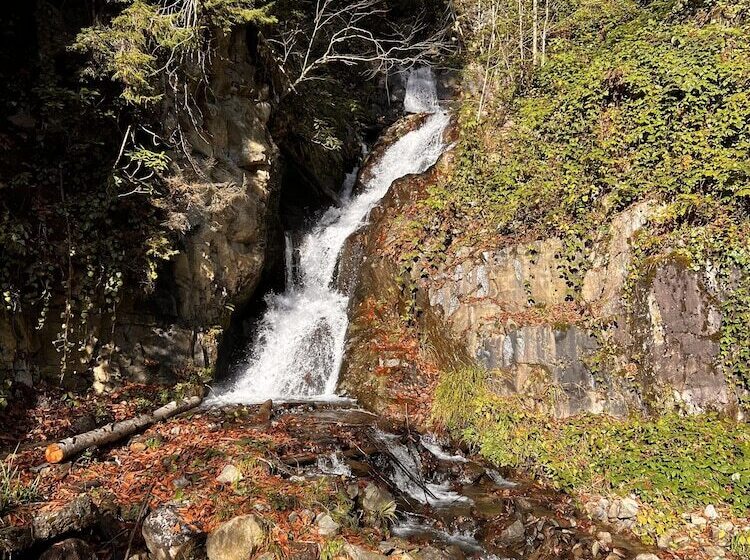 Panorama Bungalov Otel