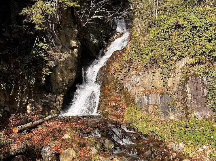 Panorama Bungalov Otel