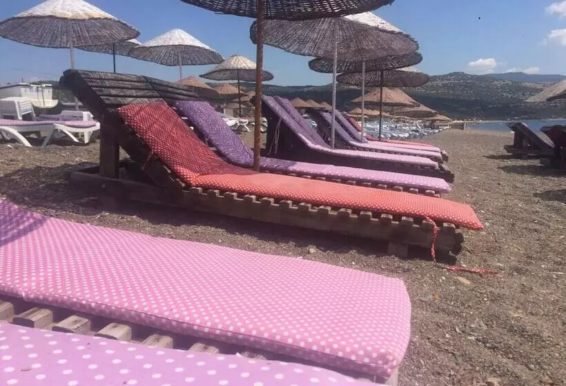 ペンション Elibol Camping
