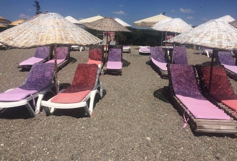 Пансион Elibol Camping