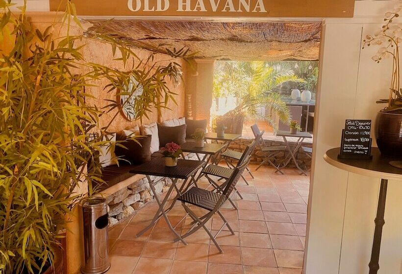 بنسيون Le Mas D'olivier