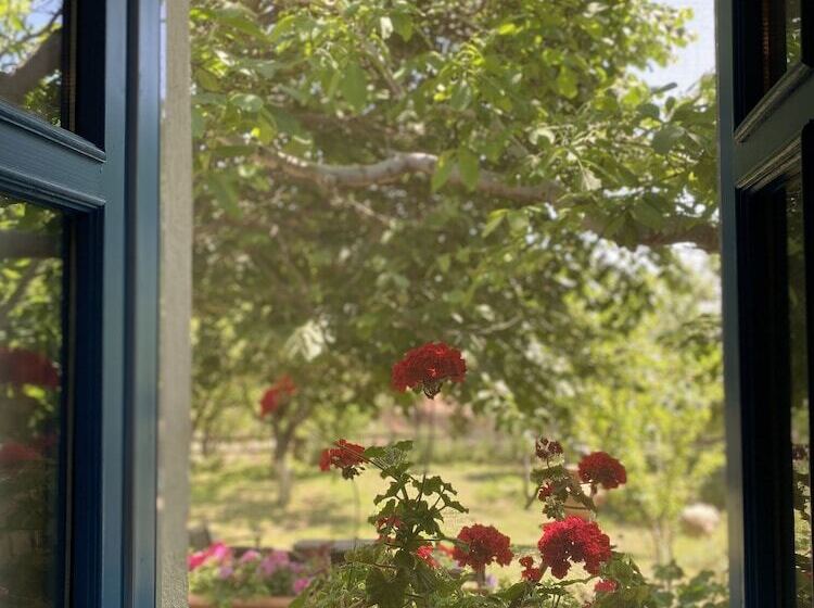 بنسيون Mustafa'nin Fidan'i